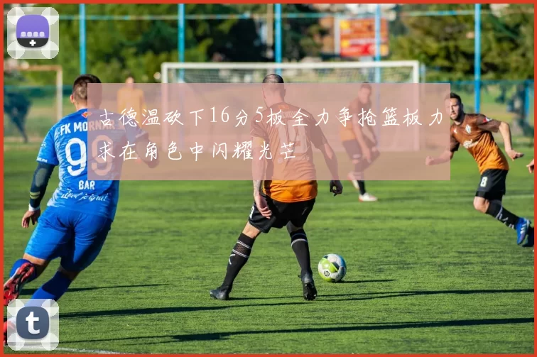 古德温砍下16分5板全力争抢篮板力求在角色中闪耀光芒