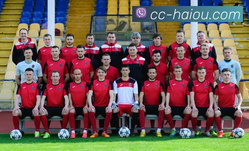 海鸥体育APP 体育赛事宣传图